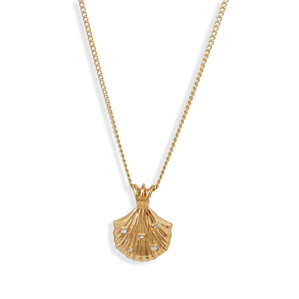 Muschel Anhänger Halskette Gold mit Zirkonia, Edelstahl vergoldet, Vergoldete Muschel Halskette mit Zirkonia, maritim und elegant, SHELAGO SCHMUCK