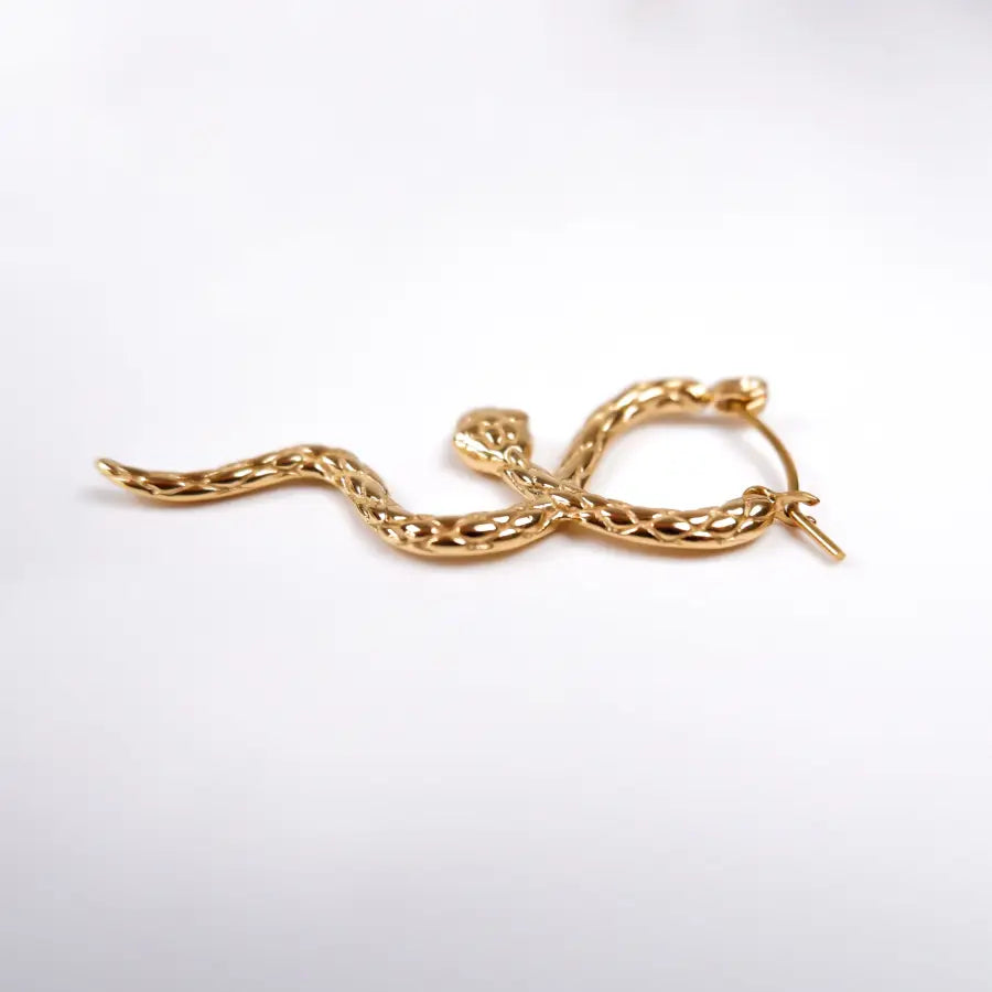 ausgefallene Schlangen Ohrringe - Ohrringe