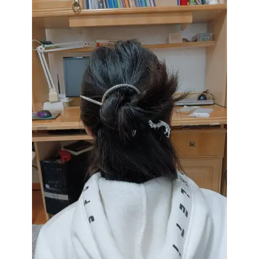 Drachen Haarnadel-Viking Haarbrosche-Mittelalter Schmuck