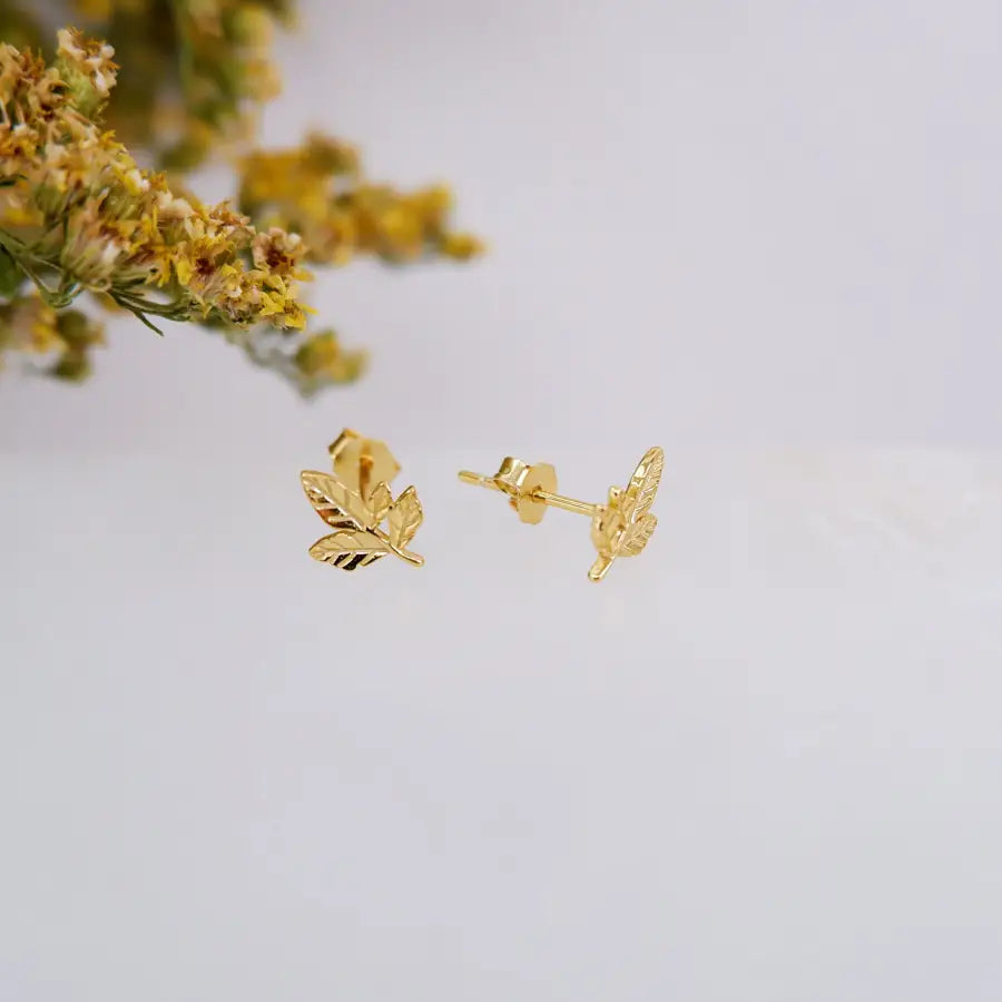 Entdecke Upper Lobe Ohrstecker im feinen Blatt Design!