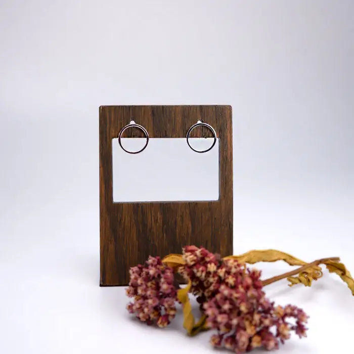 Zeitlose Ästhetik mit unseren minimalistischen Ohrsteckern!