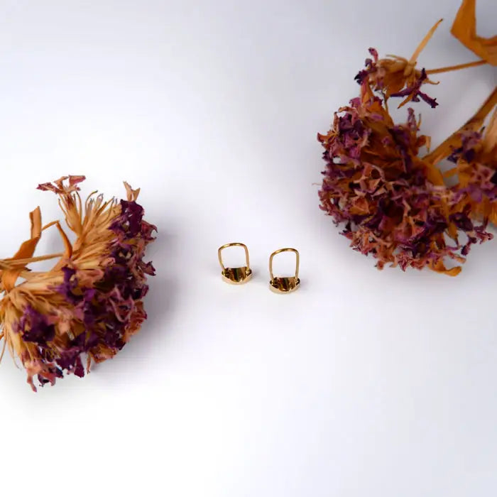 hängende Creolen-Aurelia-außergewöhnliche