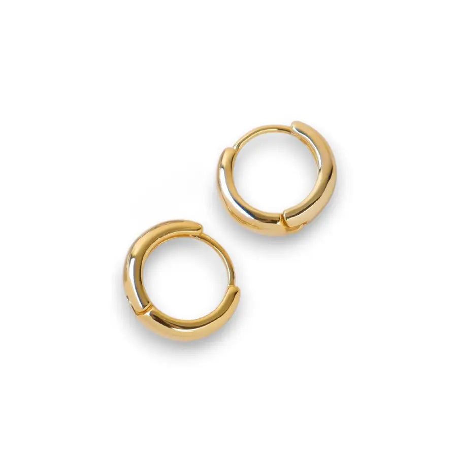 Klassische dicke Creolen-Runde Kreolen Ohrringe-Low Creolen mittelgroß-Edelstahl Ohrringe Damen-Ohrringe Frauen-Classic Gold Hoops-Shelago Schmuck